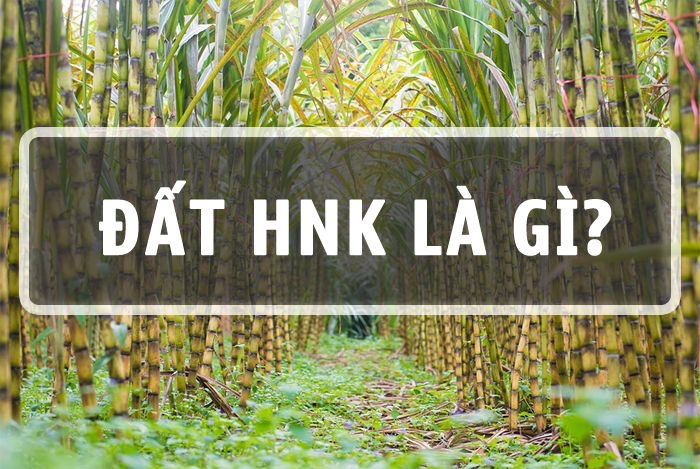 Lợi ích của việc sử dụng đất HNK trong nông nghiệp là gì?